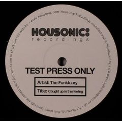 The Funktuary - The Funktuary - Caught Up In This Feeling - Housonic