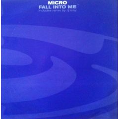 Micro - Fall Into Me - Liquid Asset