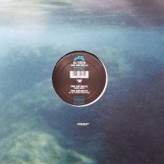 DJ TiëSto - Theme From Norefjell - Reef Recordings
