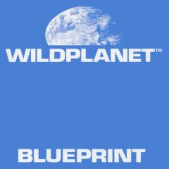 Wildplanet - Wildplanet - Blueprint - Warp