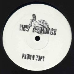 Subject 13 - Subject 13 - Mystical Flight - Vibez Recordings