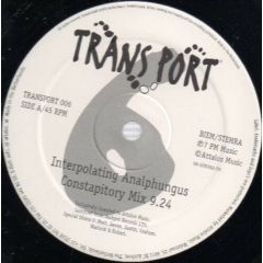 The Bubble - The Bubble - The Squeek Remixes - Transport	Transport