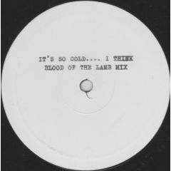 The Fatima Mansions - The Fatima Mansions - It's So Cold I Think - Kitchenware Records