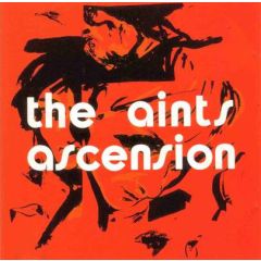The Aints - The Aints - Ascension (Grey Vinyl) - Hot Records