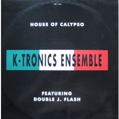 K Tronics Ensemble - K Tronics Ensemble - House Of Calypso - Irma