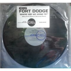 Fort Dodge - Fort Dodge - Where Are We Going To (Disc 1) - Pure Music