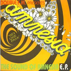 Double FM Presents Amnesia - Double FM Presents Amnesia - The Sound Of Amnesia E.P. - Rhymes Records Rhythms