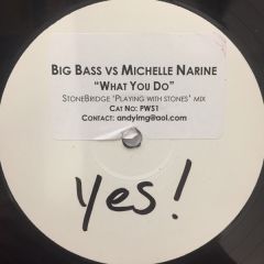 Big Bass vs Michelle Narine - Big Bass vs Michelle Narine - What You Do - Not On Label