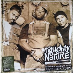 Naughty By Nature - Naughty By Nature - Nineteen Naughty Nine Nature's Fury - Arista