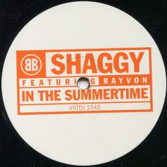 Shaggy Feat. Rayvon - Shaggy Feat. Rayvon - In The Summertime - Virgin