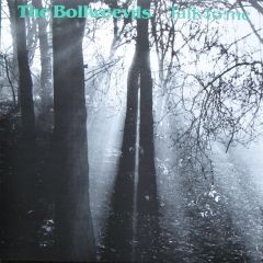 The Bollweevils - The Bollweevils - Talk To Me - Decoy