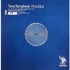 Tony Senghore - Tony Senghore - Whaddup - Vendetta