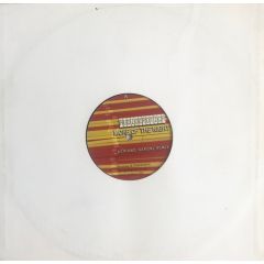 Audioerotica - Audioerotica - More Of The Night - Audioe