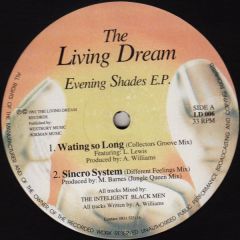 The Intelligent Black Men - The Intelligent Black Men - Evening Shades E.P. - The Living Dream