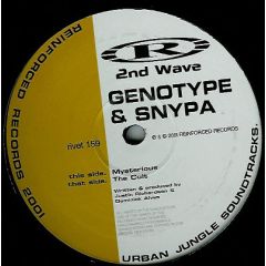 Genotype & Snypa - Genotype & Snypa - Mysterious / The Cult - Reinforced Records