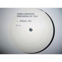 Thrillseekers - Thrillseekers - Dreaming Of You (Vocal Mix) - Data Records