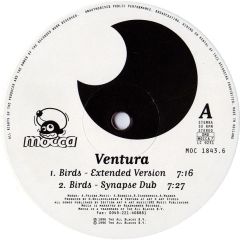 Ventura - Ventura - Birds - Mocca