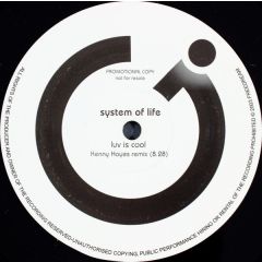 System Of Life - System Of Life - Luv Is Cool - Freedream 1