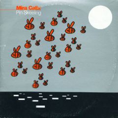 Mira Calix - Mira Calix - Pin Skeeling - Warp Records