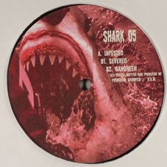 Pounding Grooves & R.A.W. - Pounding Grooves & R.A.W. - Infested - Shark Records