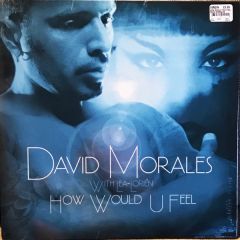 David Morales With Lea Lorien - David Morales With Lea Lorien - How Would U Feel - Dmi 101