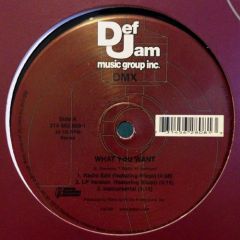 DMX  - DMX  - What You Want - Def Jam