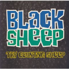 Black Sheep - Black Sheep - Try Counting Sheep - Mercury