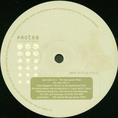 Pulse - Shifting Clarity - Protea