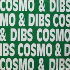Cosmo & Dibs - Cosmo & Dibs - Sonic Rush - Moving Shadow