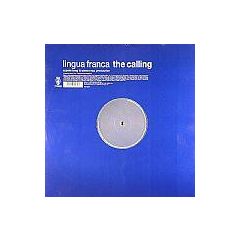 Pete Tong & Steve Mac Present - Pete Tong & Steve Mac Present - The Calling - Vendetta