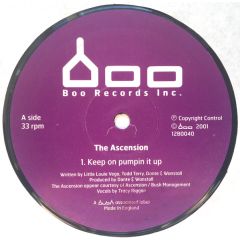 The Ascension - The Ascension - Keep On Pumpin It Up - Bush Boo