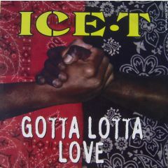 Ice T - Ice T - Gotta Lotta Love - Sire