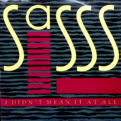 Sasss - Sasss - I Didn't Mean It At All - 10 Records