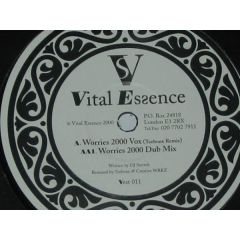 DJ Stretch - DJ Stretch - Worries 2000 - Vital Essence