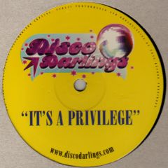 Disco Darlings - Disco Darlings - It's A Privilege - Not On Label