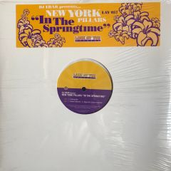 DJ Ebar - DJ Ebar - In The Springtime - Look At You