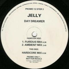 Jelly - Jelly - Day Dreamer - Hamster
