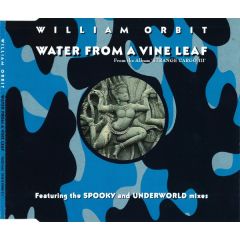 William Orbit - William Orbit - Water From A Vine Leaf - Virgin
