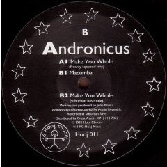 Andronicus - Andronicus - Make You Whole - Hooj Choons