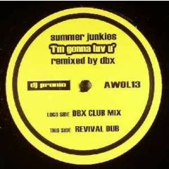 Summer Junkies - Summer Junkies - I'm Gonna Luv U (D.B.X. Remixes) - AWOL Records