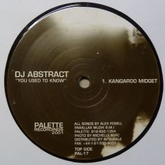 DJ Abstract - DJ Abstract - You Used To Know - Palette