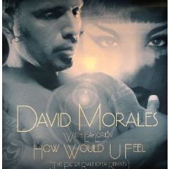 David Morales With Lea Lorien - David Morales With Lea Lorien - How Would U Feel (Remixes) - YOU