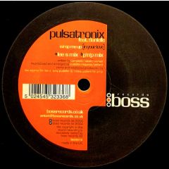 Pulsatronix Feat. Danielle - Pulsatronix Feat. Danielle - Wrap Me Up (In Your Love) - Boss
