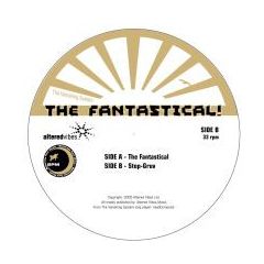 The Vanishing System - The Vanishing System - The Fantastical - Altered Vibes