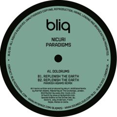 Nicuri - Nicuri - Paradigms - Bliq