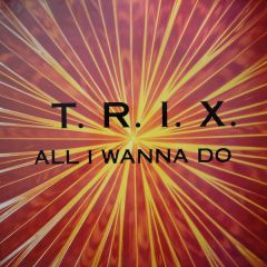 T.R.I.X. - T.R.I.X. - All I Wanna Do - Paradance