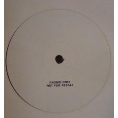 Stevie E & The N.a.N. - Stevie E & The N.a.N. - Staying Alive - Tug Records