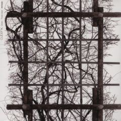 Cubenx - Cubenx - Grass - These Days - Remixes - Infine