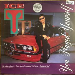 Ice T - Ice T - You Played Yourself - Sire