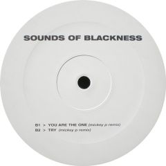 Sounds Of Blackness - Sounds Of Blackness - You Are The One (Masterstepz & Mickey P Remixes) - White